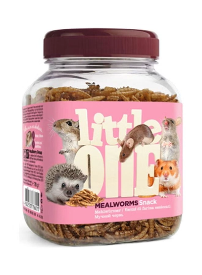 Little one Snack Mealworms Brown 70grams-0