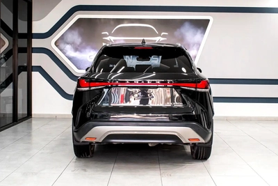 Lexus RX-Series Other-4