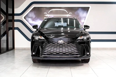 Lexus RX-Series Other-9