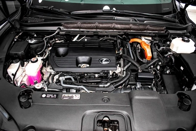 Lexus RX-Series Other-11