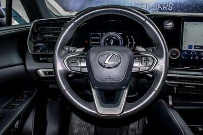 Lexus RX-Series Other-12