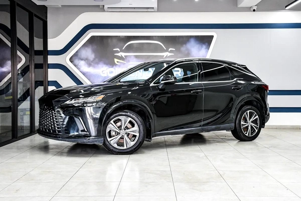 Lexus RX-Series Other