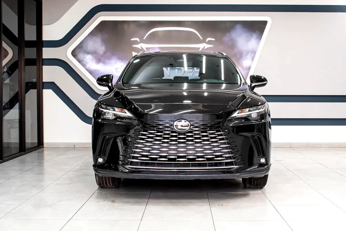 Lexus RX-Series Other-9-9