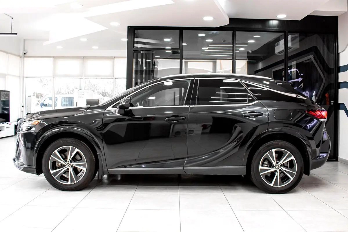Lexus RX-Series Other-10-10