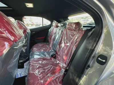 2024 Lexus UX 300h F Sport Prestige - GCC Specs - Brand New-8