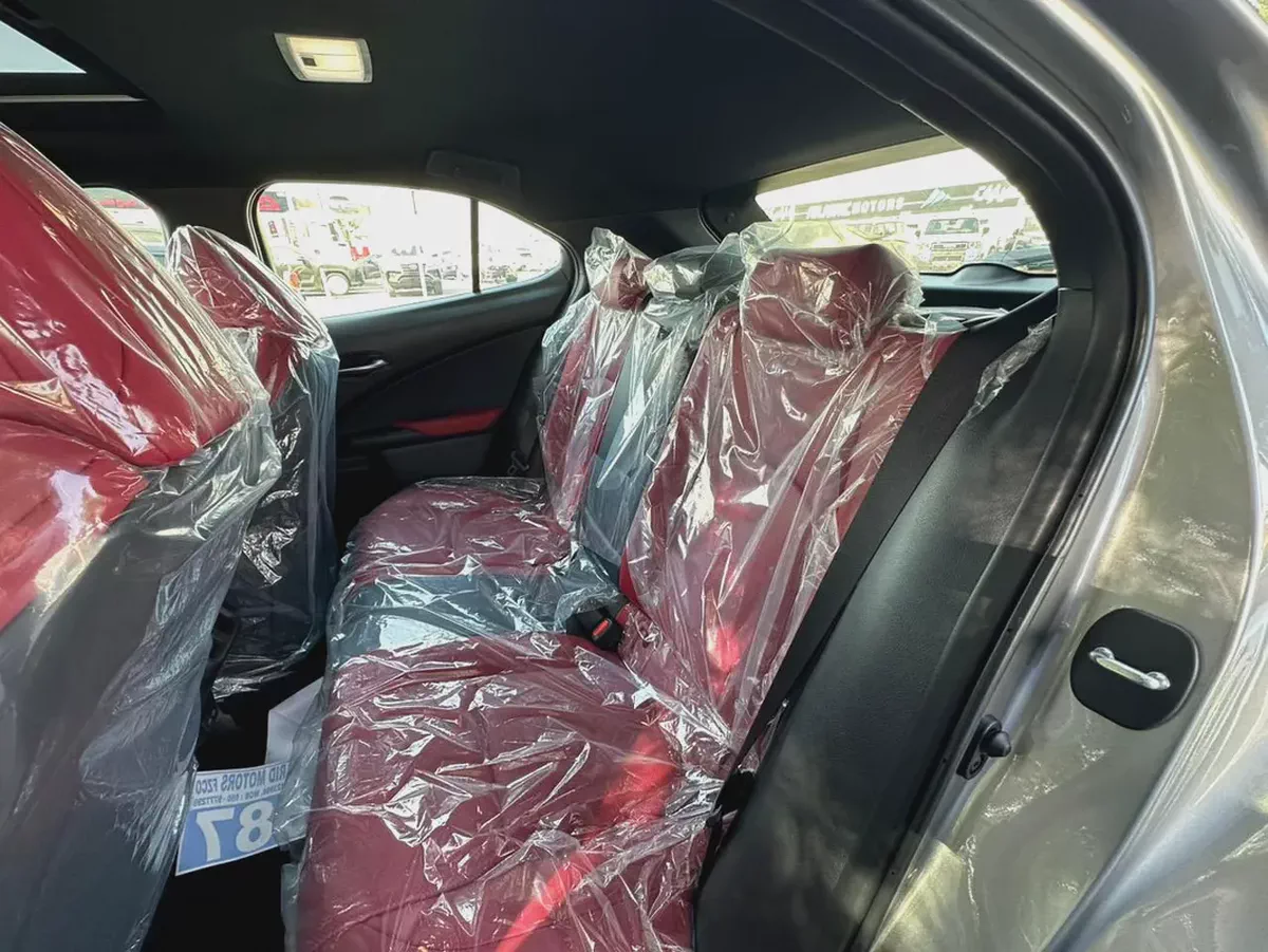 2024 Lexus UX 300h F Sport Prestige - GCC Specs - Brand New-8-8