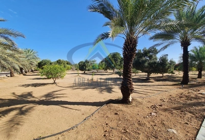 FARM FOR SALE IN AL AJBAN-0