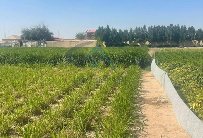 FARM FOR SALE IN AL AJBAN-4