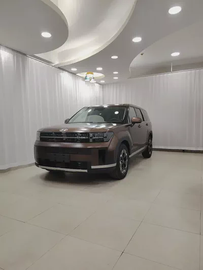 Hyundai Santa Fe Calligraphy 2024 - Chinese Specs - Top Tier Luxury-0