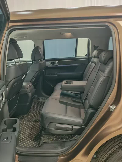 Hyundai Santa Fe Calligraphy 2024 - Chinese Specs - Top Tier Luxury-10