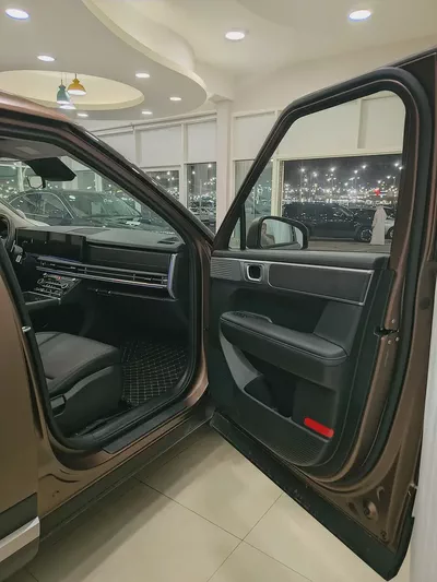 Hyundai Santa Fe Calligraphy 2024 - Chinese Specs - Top Tier Luxury-11