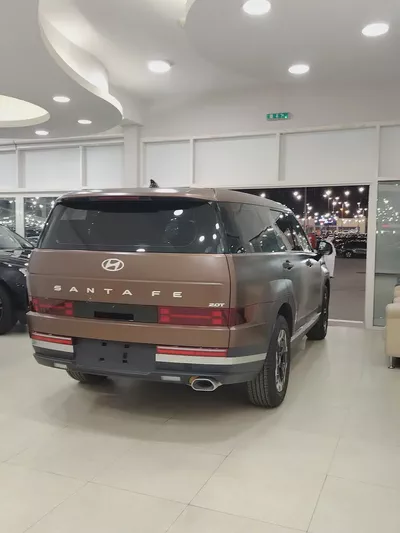 Hyundai Santa Fe Calligraphy 2024 - Chinese Specs - Top Tier Luxury-3