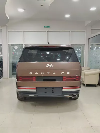 Hyundai Santa Fe Calligraphy 2024 - Chinese Specs - Top Tier Luxury-4