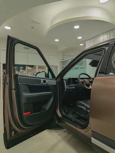 Hyundai Santa Fe Calligraphy 2024 - Chinese Specs - Top Tier Luxury-6