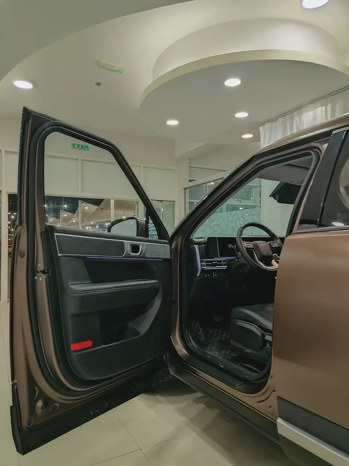 Hyundai Santa Fe Calligraphy 2024 - Chinese Specs - Top Tier Luxury-6-6