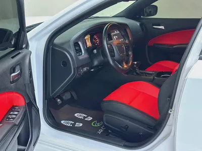 [DODGE CHARGER R/T PUS 5.7L V8] [LAST CALL SERIES]-8