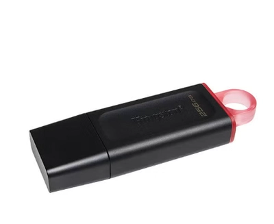 Kingston 265GB Exodia USB 3.20 Flash - DTX/265 - 256 GB-1