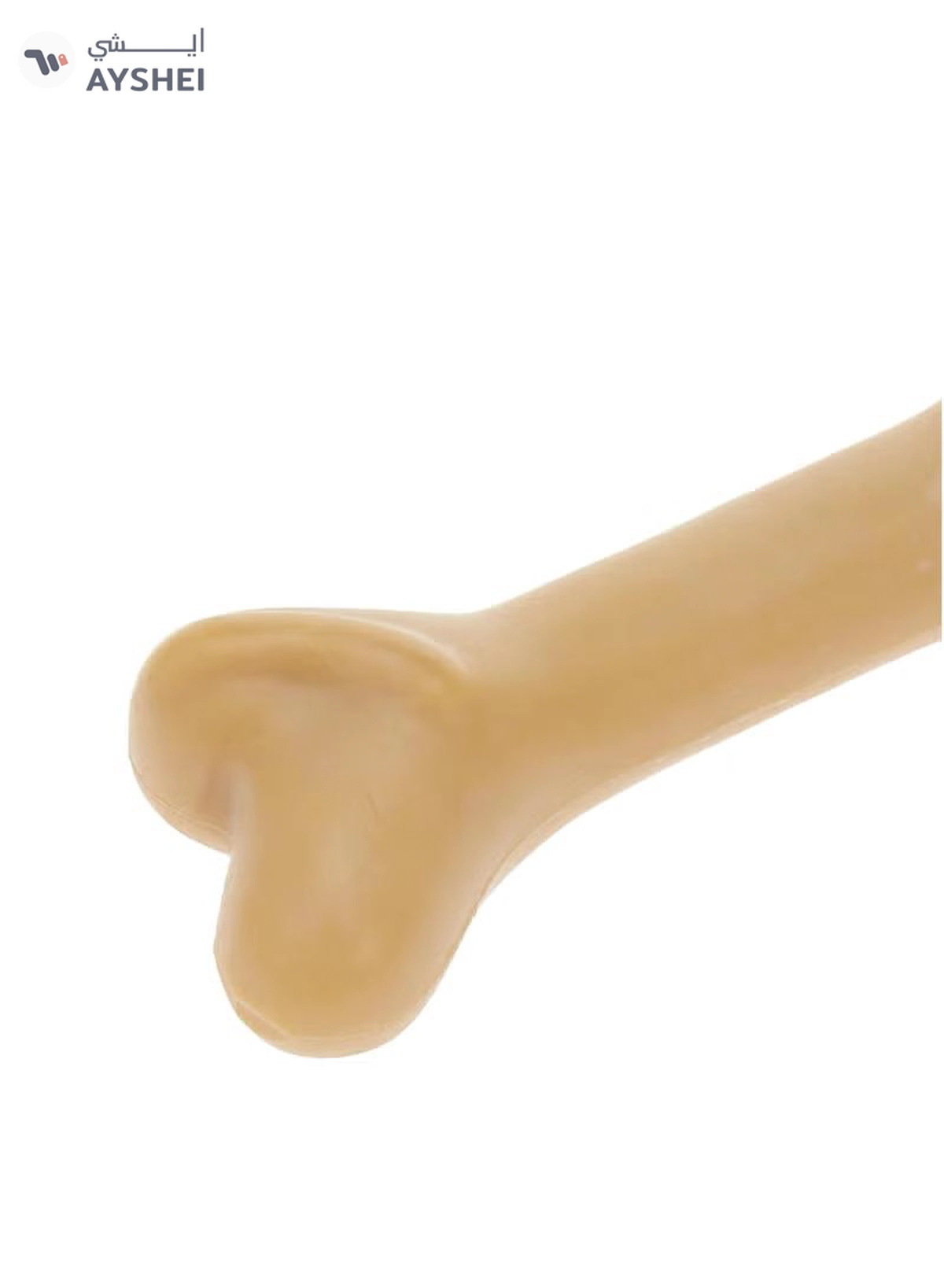 mpets Greenbo Natural Rubber Bone Dog Toy S-2-2