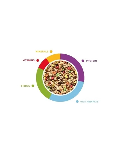 Padovan Grandmix Canarini Complete Food For Canaries 1kg-1