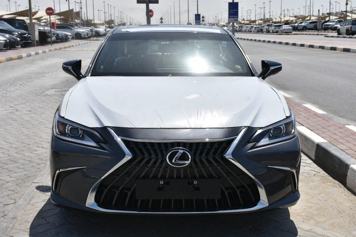 NEW ES250 GCC 2023 | GREY LIKE-2-2