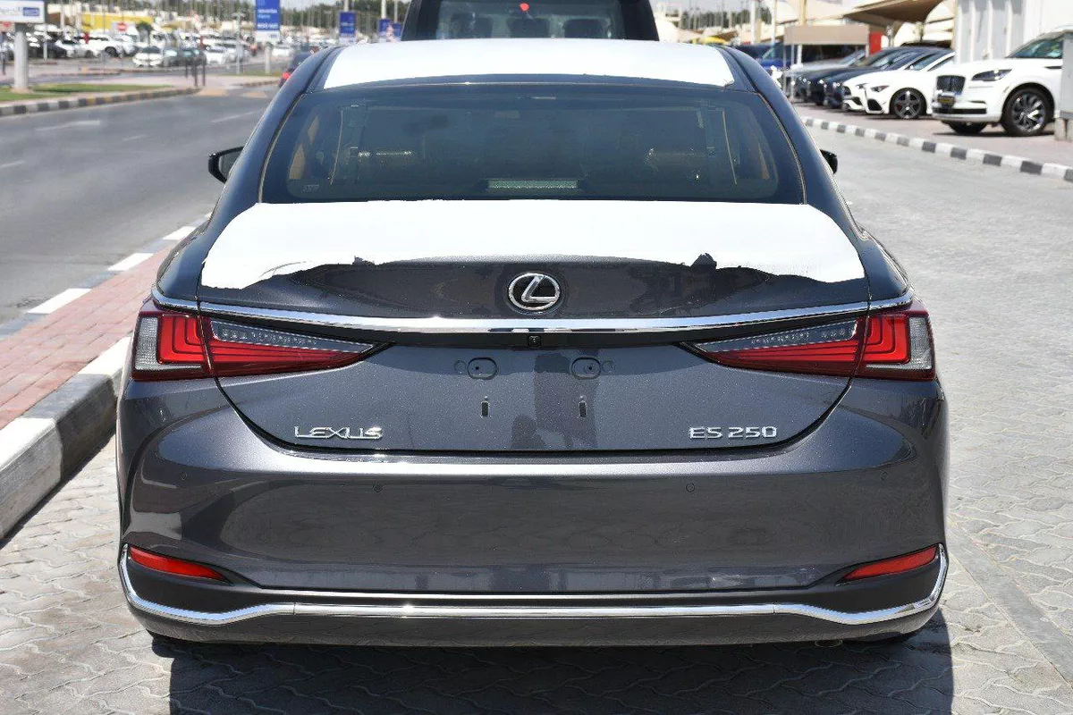 NEW ES250 GCC 2023 | GREY LIKE-11-11