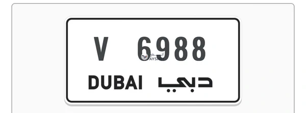 Car Plate number