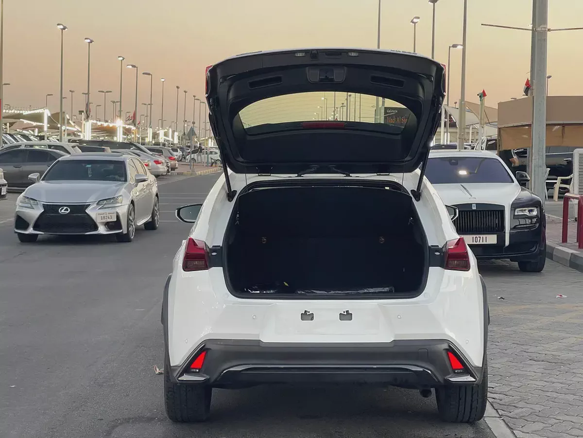 لكزس UX200 خليجي Lexus UX 200 2023 GCC Specs - Pristine Condition-19-19