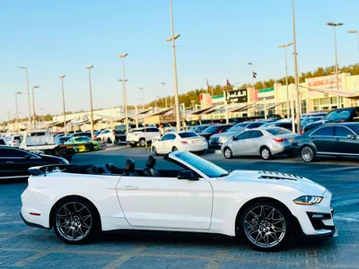 2022 Ford Mustang Ecoboost Convertible - # 20269-8
