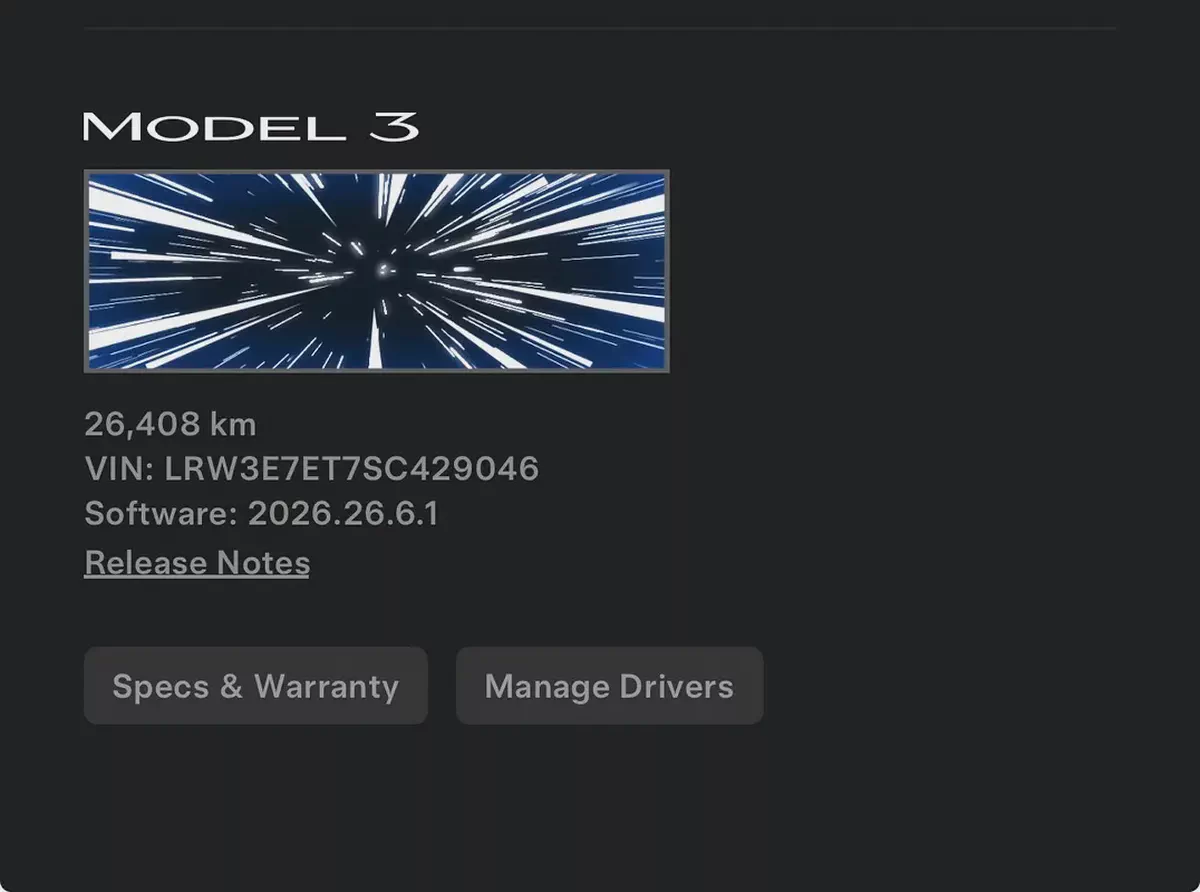 Tesla Model 3 Performance 2025 GCC Specs-15-15