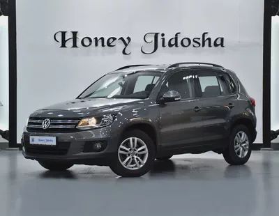 EXCELLENT DEAL for our Volkswagen Tiguan ( 2016 Model ) in Grey Color GCC Specs-0