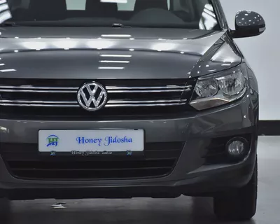 EXCELLENT DEAL for our Volkswagen Tiguan ( 2016 Model ) in Grey Color GCC Specs-3