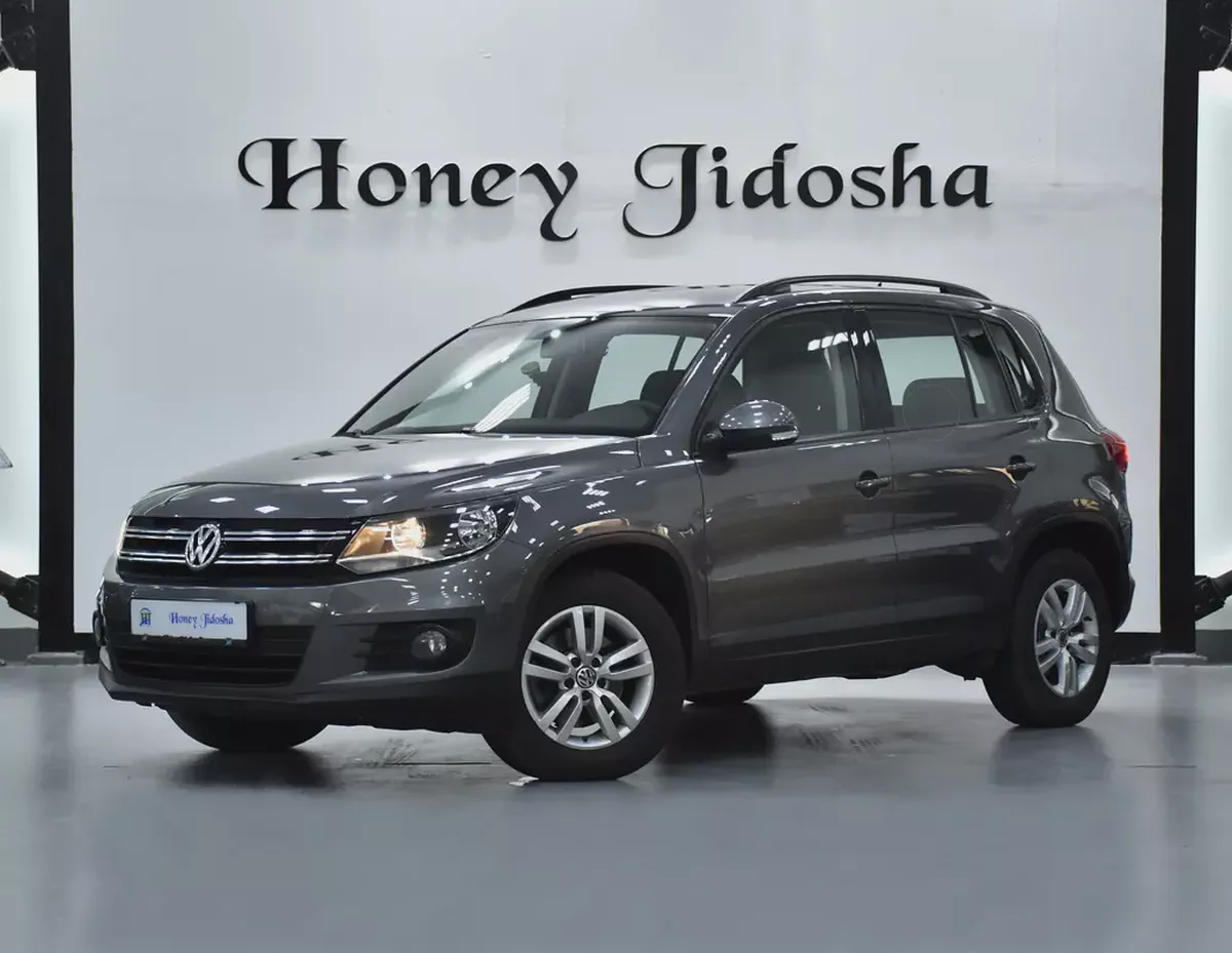 EXCELLENT DEAL for our Volkswagen Tiguan ( 2016 Model ) in Grey Color GCC Specs