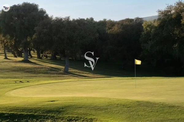 Golf Meadows, Emaar South, Dubai South, Dubai