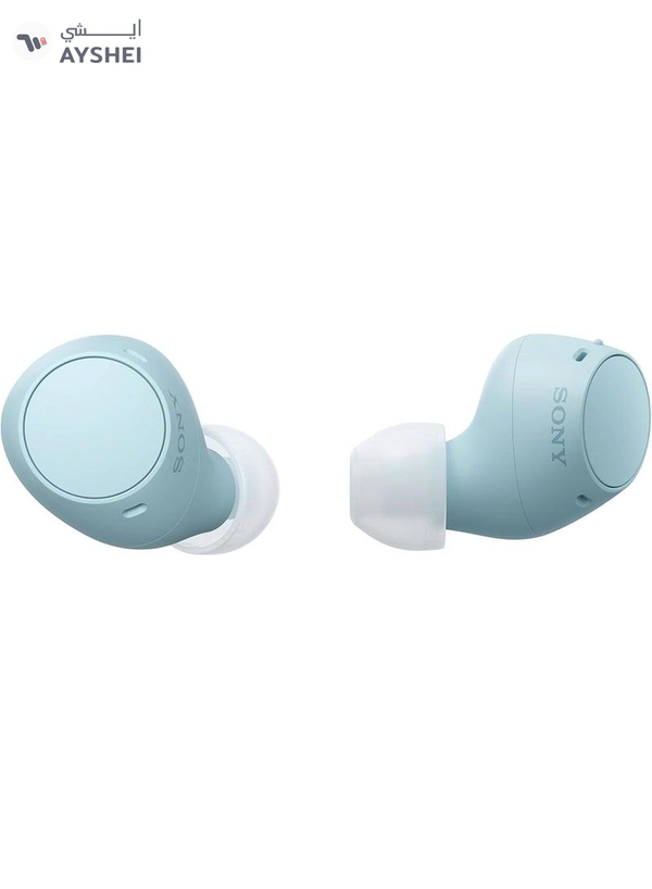 Sony WF-C510 Truly Wireless Earbuds, 22 hours battery life, Clearer hands-free calling, Multipoint Connection, Ambient Sound Mode, IPX4 Water Resistance Blue