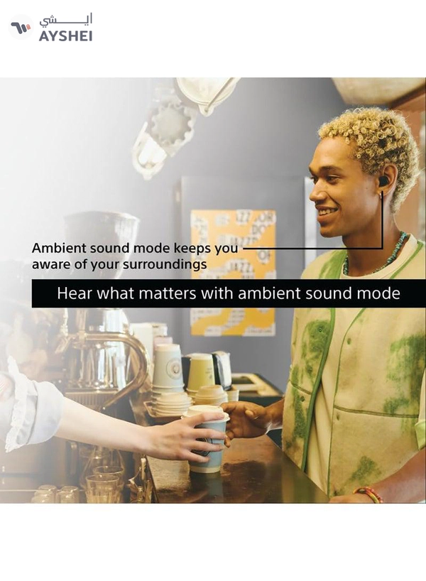 Sony WF-C510 Truly Wireless Earbuds, 22 hours battery life, Clearer hands-free calling, Multipoint Connection, Ambient Sound Mode, IPX4 Water Resistance Blue