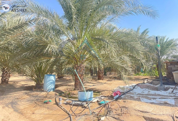 FARM FOR SALE IN AL KHATIM