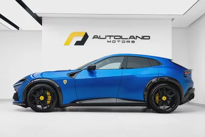 2025 FERRARI PUROSANGUE | MAIN DEALER SERVICE | CUSTOM SPECIFICATIONS-4