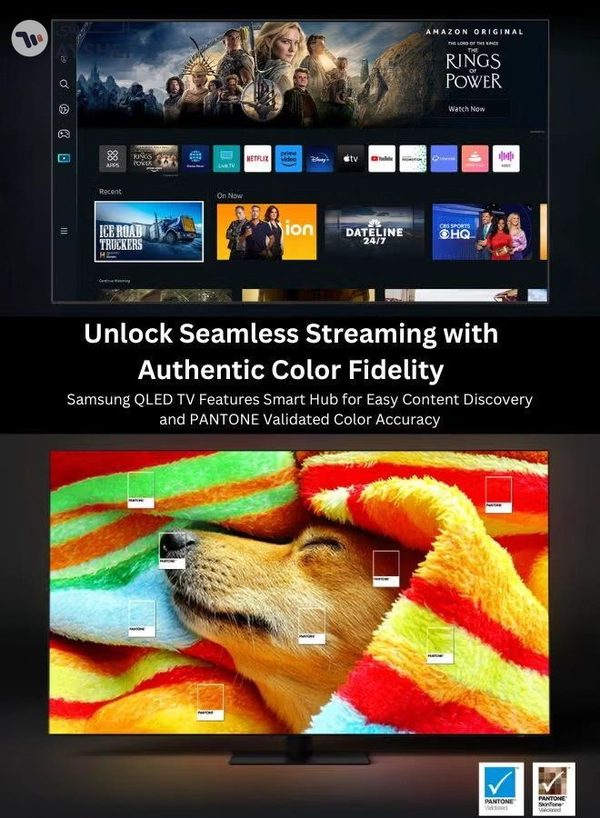 Samsung 55-Inch Q70C QLED 4K Smart TV with Quantum HDR 10+, HDR10+, AirSlim Design With 3.5L Air Fryer 1500W, 80-200°C Cooking Range, Rapid Air Convection 55Q70C+AIR-FRYER Grey