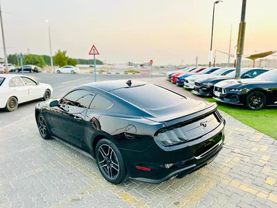 2023 Ford Mustang Ecoboost - # 07896-4