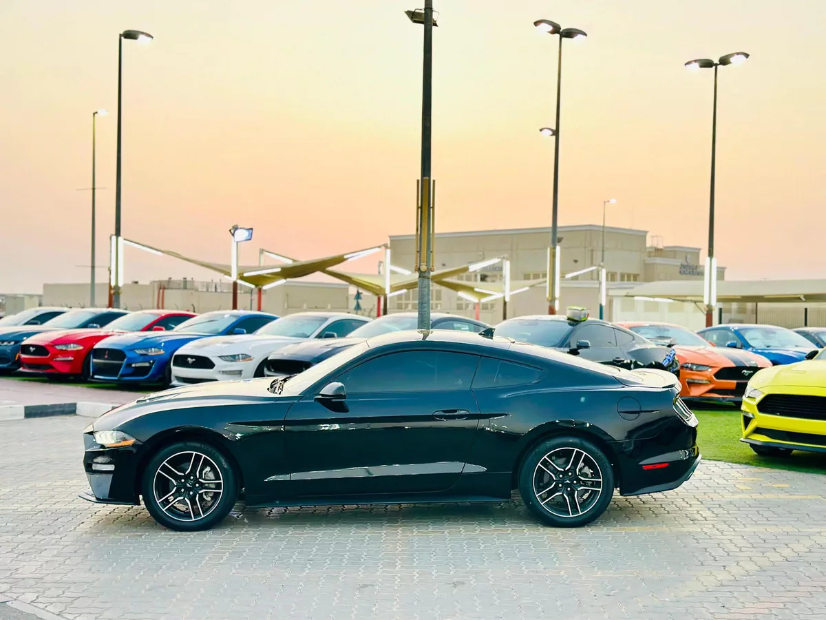 2023 Ford Mustang Ecoboost - # 07896-6-6