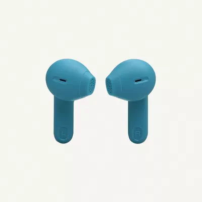 JBL Tune Flex 2 True Wireless Noise Cancelling Earbuds-2