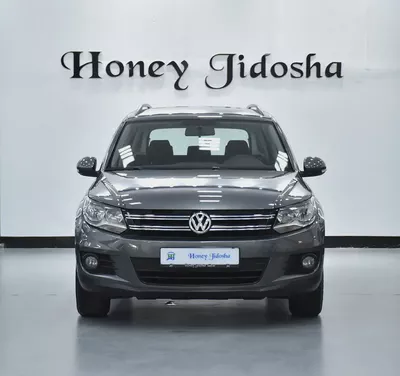EXCELLENT DEAL for our Volkswagen Tiguan ( 2016 Model ) in Grey Color GCC Specs-1