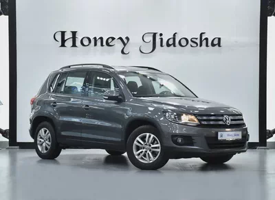 EXCELLENT DEAL for our Volkswagen Tiguan ( 2016 Model ) in Grey Color GCC Specs-2