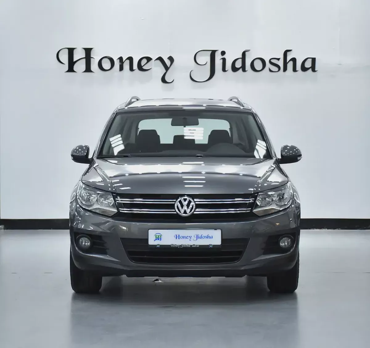 EXCELLENT DEAL for our Volkswagen Tiguan ( 2016 Model ) in Grey Color GCC Specs-1-1