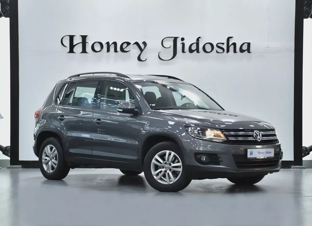 EXCELLENT DEAL for our Volkswagen Tiguan ( 2016 Model ) in Grey Color GCC Specs-2-2