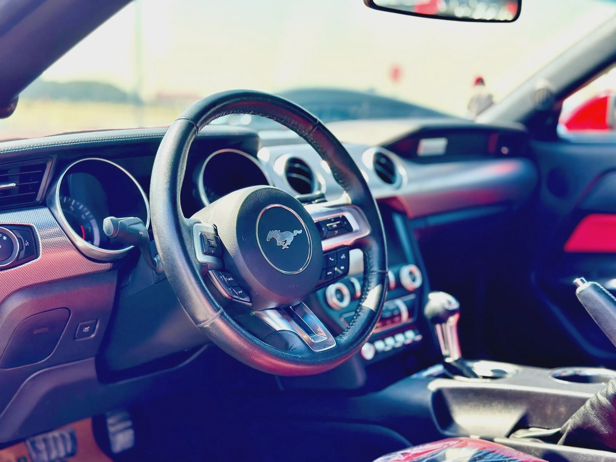 2019 Ford Mustang Ecoboost - # 73047-1-1