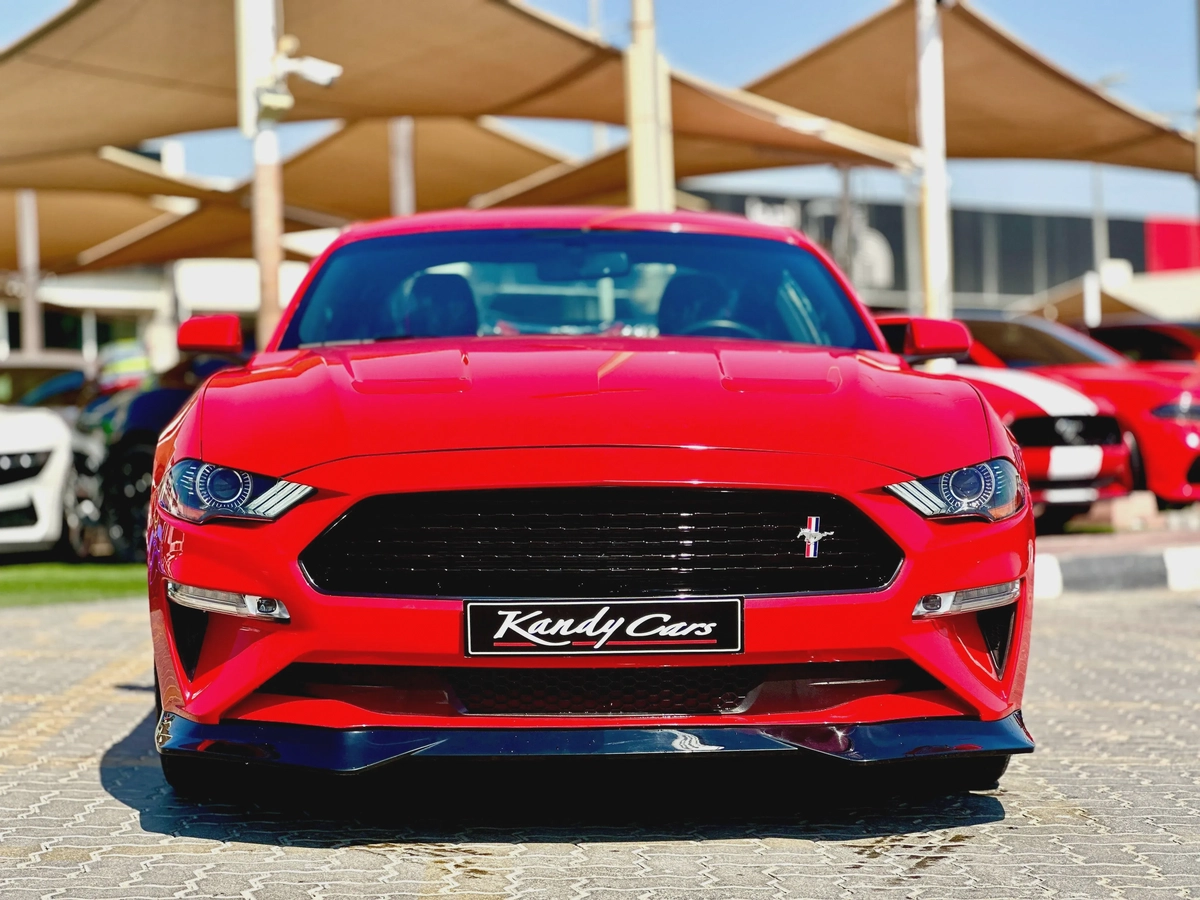 2019 Ford Mustang Ecoboost - # 73047-8-8