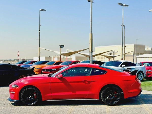2019 Ford Mustang Ecoboost - # 73047