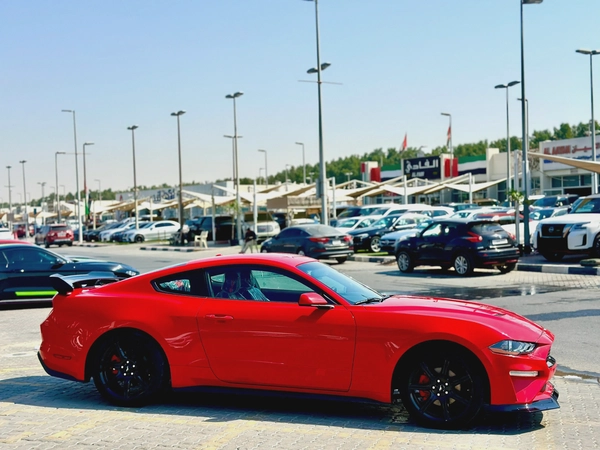 2019 Ford Mustang Ecoboost - # 73047