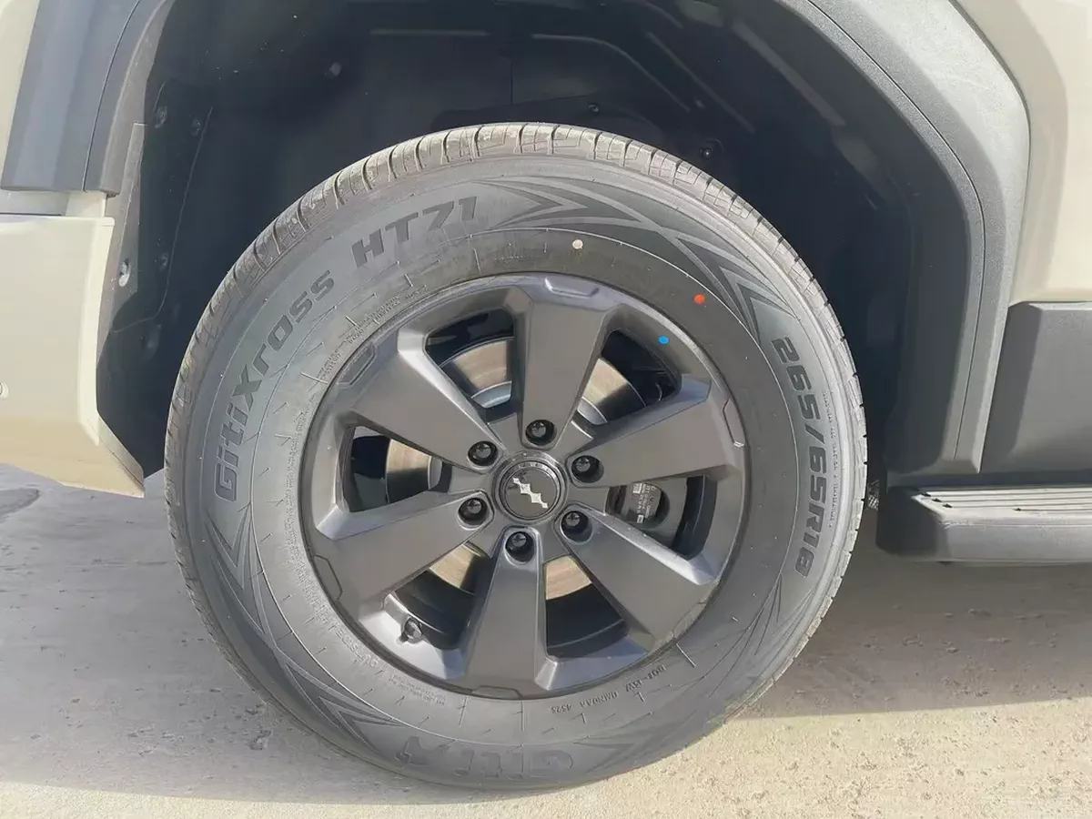 BYD LEOPARD 5 ULTRA -210KM-7-7
